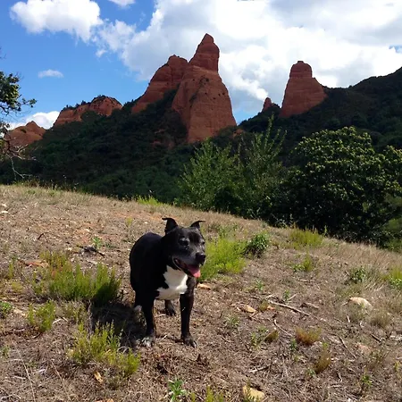Ξενοδοχείο Medulio